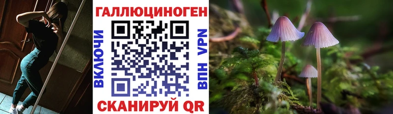 наркота  дарк нет состав  Псилоцибиновые грибы ЛСД  Краснотурьинск 